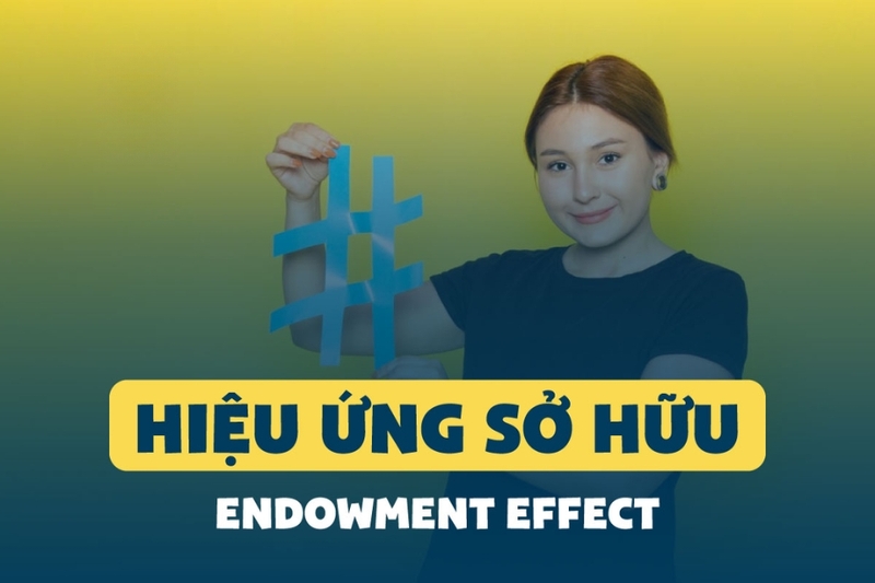 Endowment effect là gì? (1)