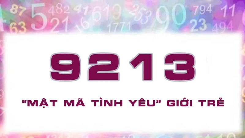 9213 nghĩa là gì?