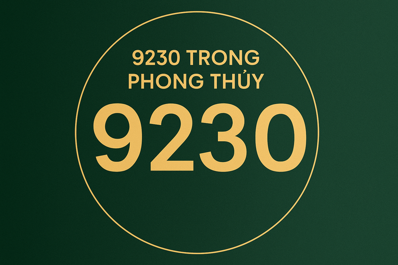 9230 là gì? ảnh 2