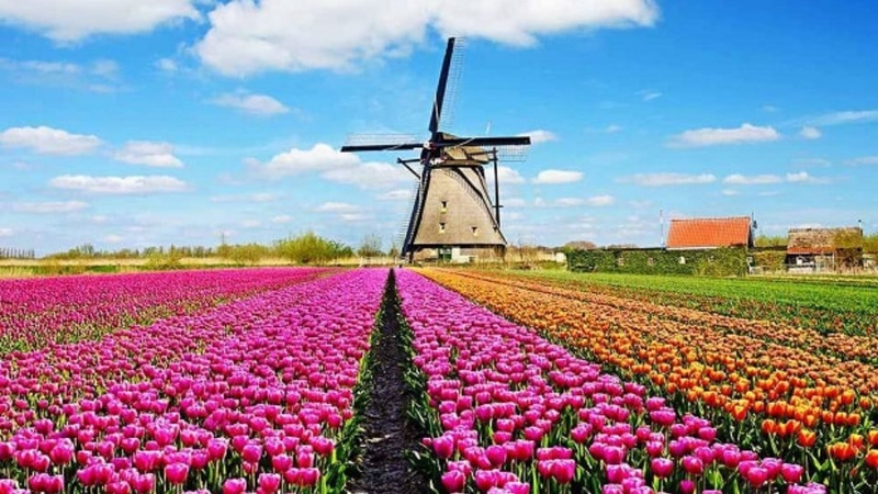 Amsterdam ở đâu? 10