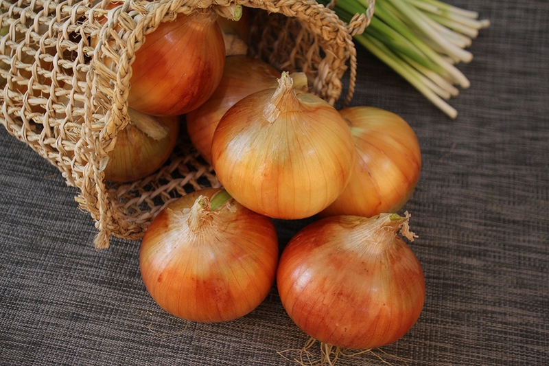 Giá trị dinh dưỡng nổi bật