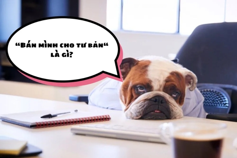 Bán mình cho tư bản là gì