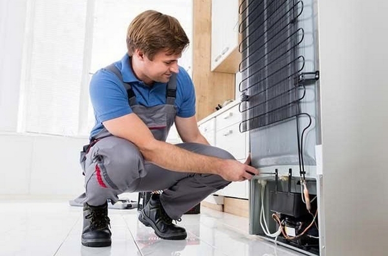 Biến tủ lạnh cũ thành tủ lạnh mới ảnh 2