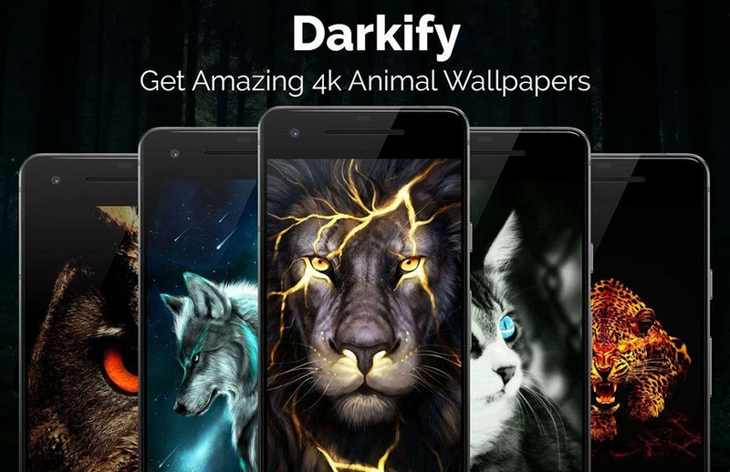 Black Wallpaper - 06