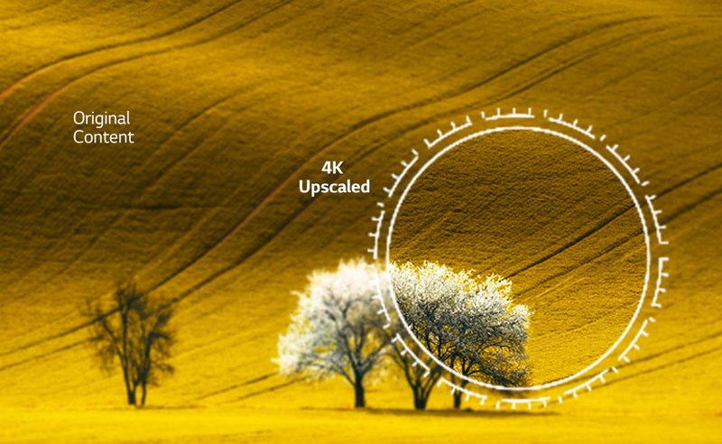 Bộ xử lý α5 Gen5 AI 4K ảnh 2