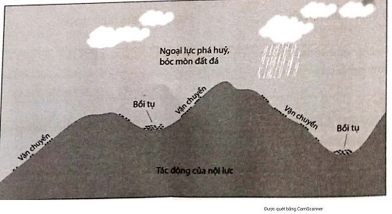 Bồi tụ là gì ảnh 2