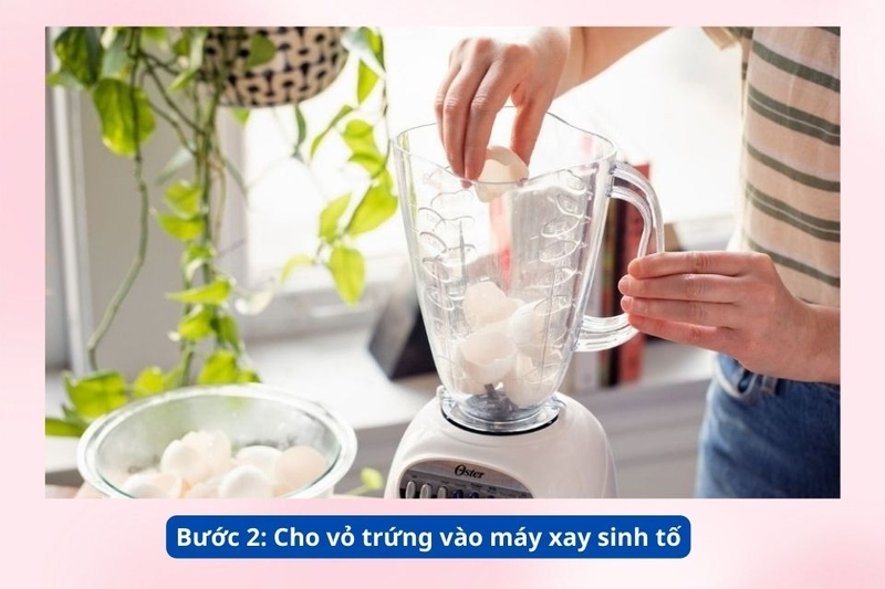 Bước 2_ Cho vỏ trứng v&agrave;o m&aacute;y xay sinh tố