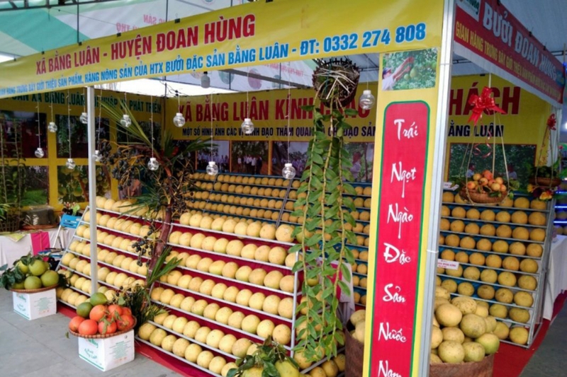 Bưởi Bằng Luân