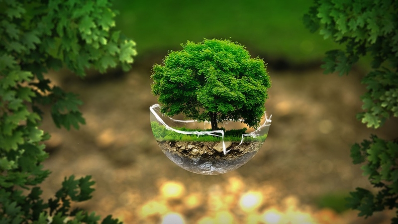 Trách nhiệm bảo vệ môi trường