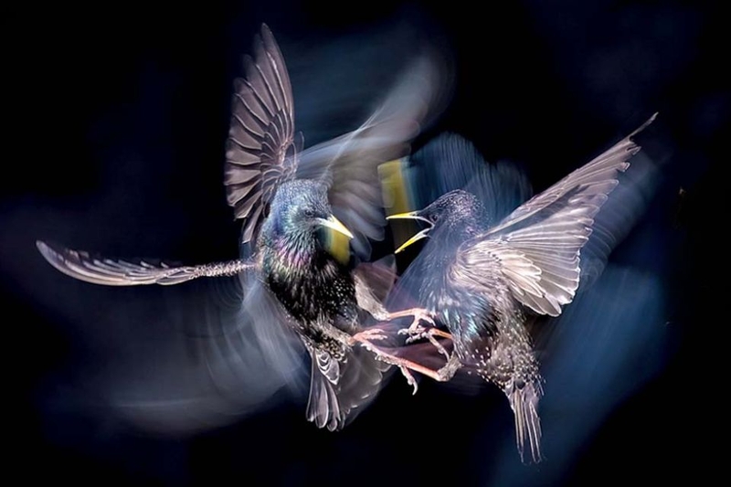 Các chế độ đồng bộ chậm phổ biến