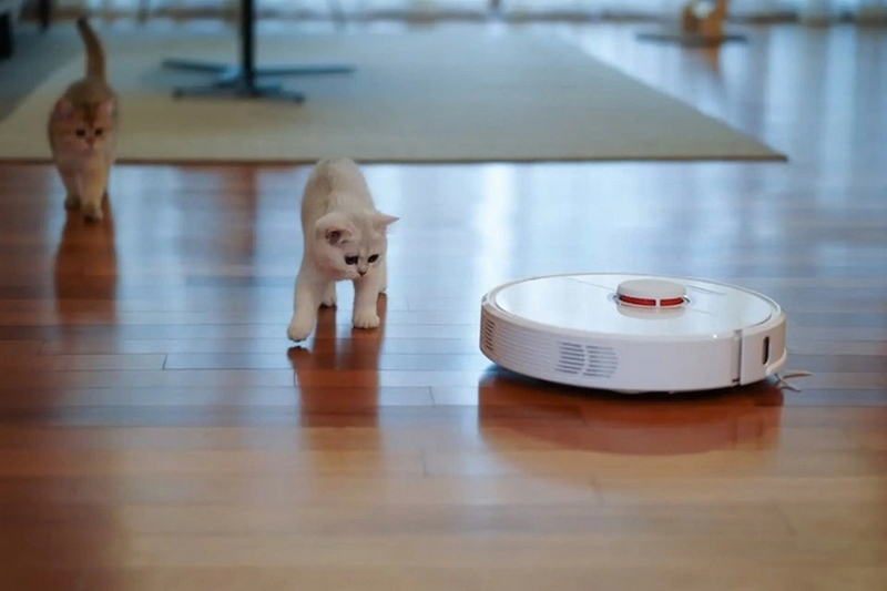 Cách chọn robot hút bụi phù hợp nhà ở ảnh 4