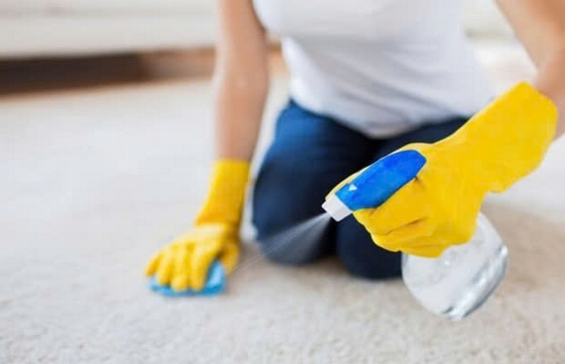 Cách giặt thảm lông cừu ảnh 4