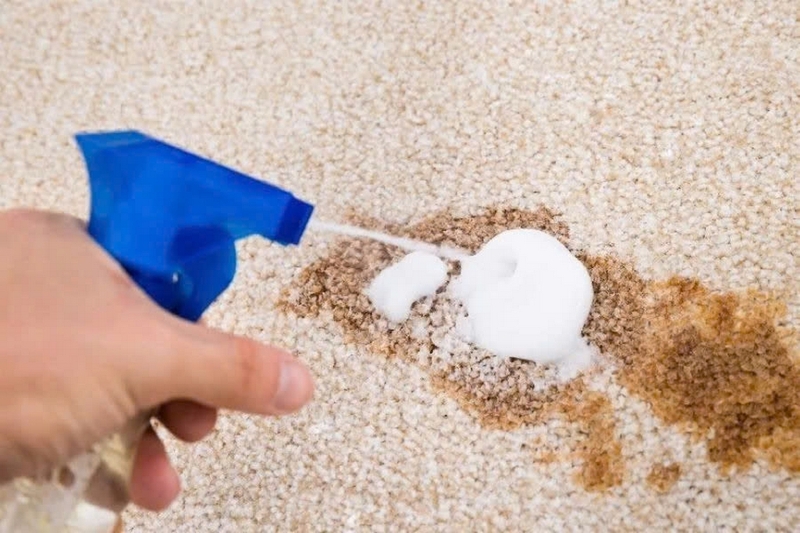 Cách giặt thảm lông cừu ảnh 5