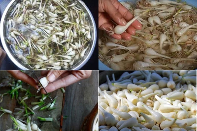 Cách sơ chế củ kiệu để muối cực kỳ đơn giản