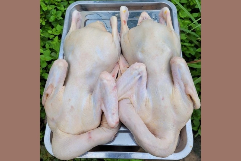 Kiểm tra độ tươi của vịt