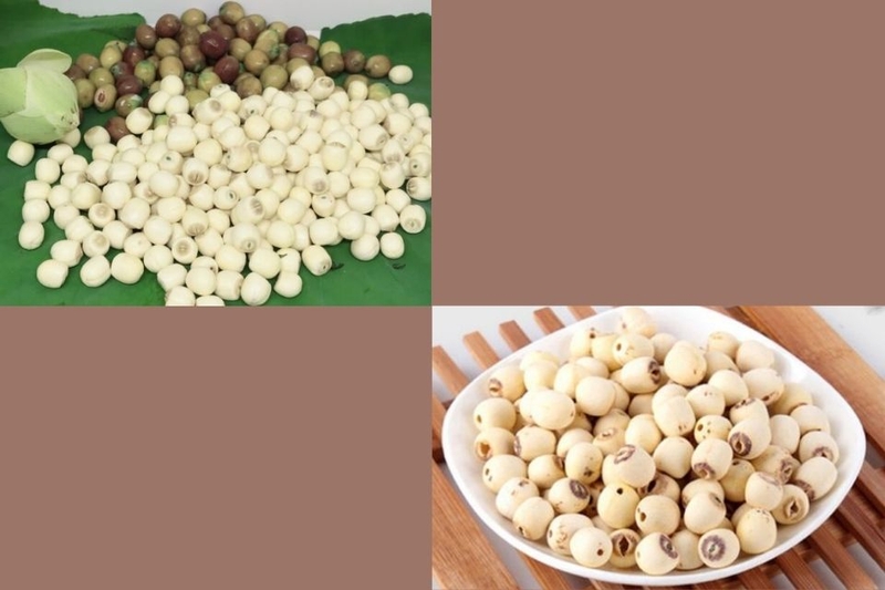 Chọn hạt sen tươi hay khô