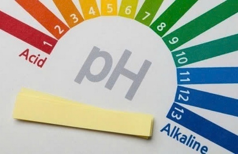 Cách sử dụng máy lọc nước Kangen K8 ảnh 3