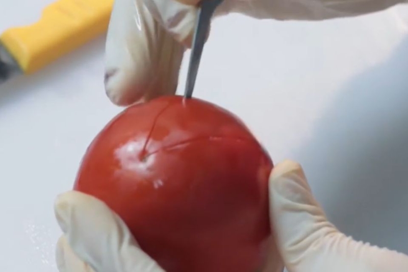 Lấy phần đuôi quả cà chua làm tâm