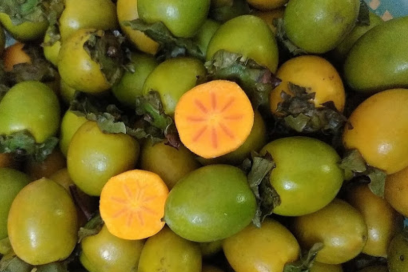 hồng giòn Đà Lạt 3