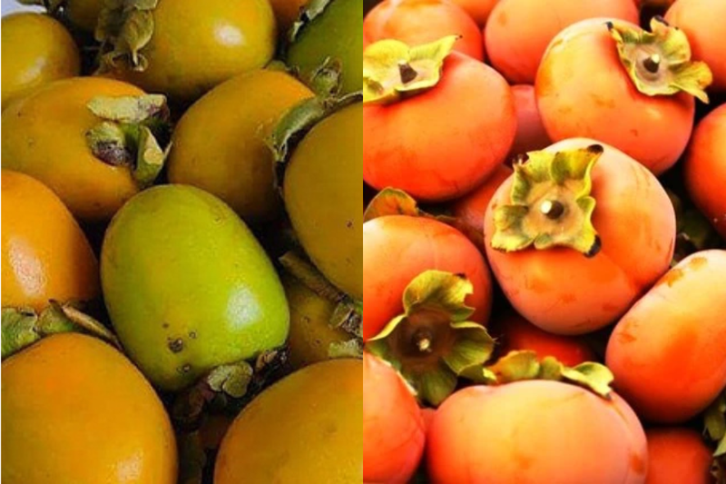 hồng giòn Đà Lạt 2
