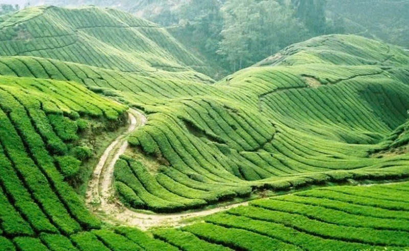 Cao nguyên là gì ảnh 1