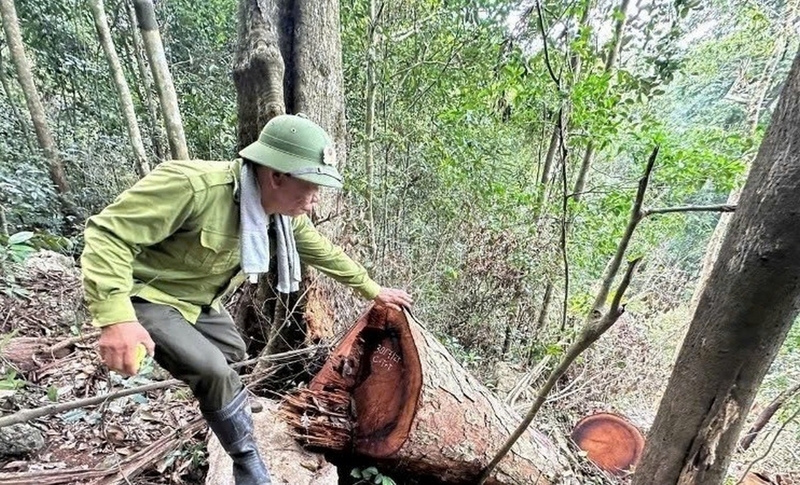 Cao nguyên là gì ảnh 6