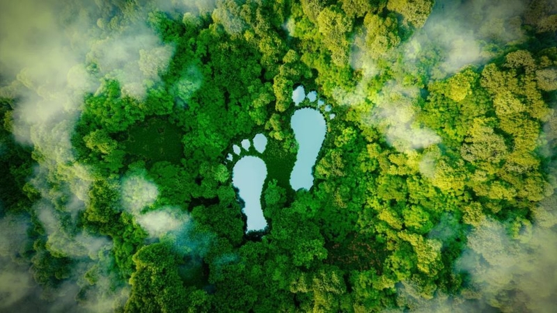 Carbon Footprint là gì? 1