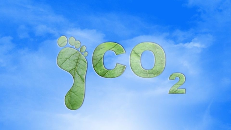 Carbon Footprint là gì? 5