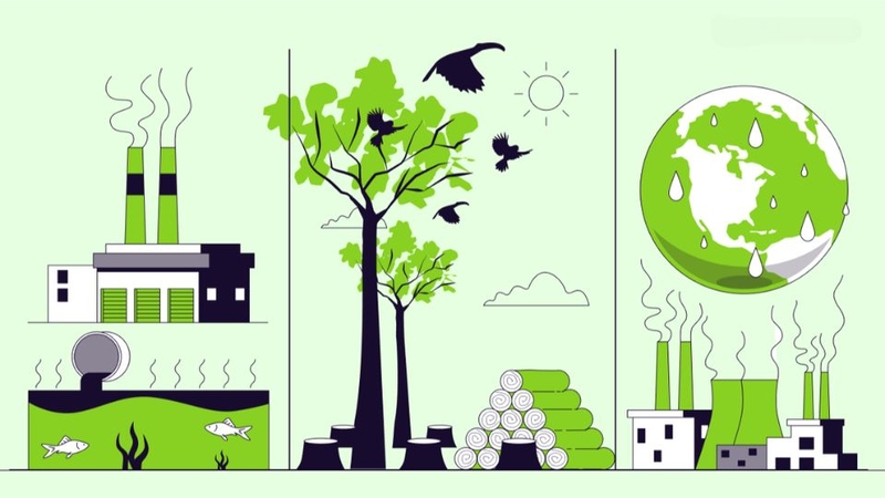 Carbon Footprint là gì? 6