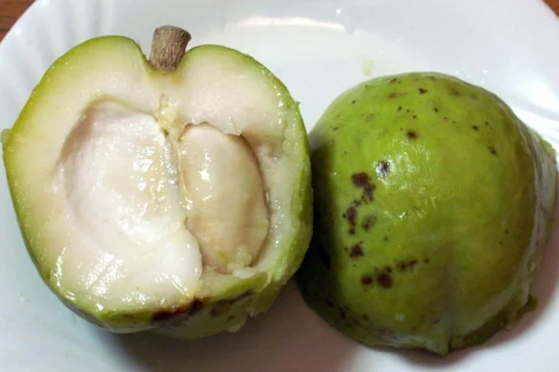 Theo nhiều nguồn nước ngoài, hương vị White Sapote gợi nhớ đến hỗn hợp của lê chín