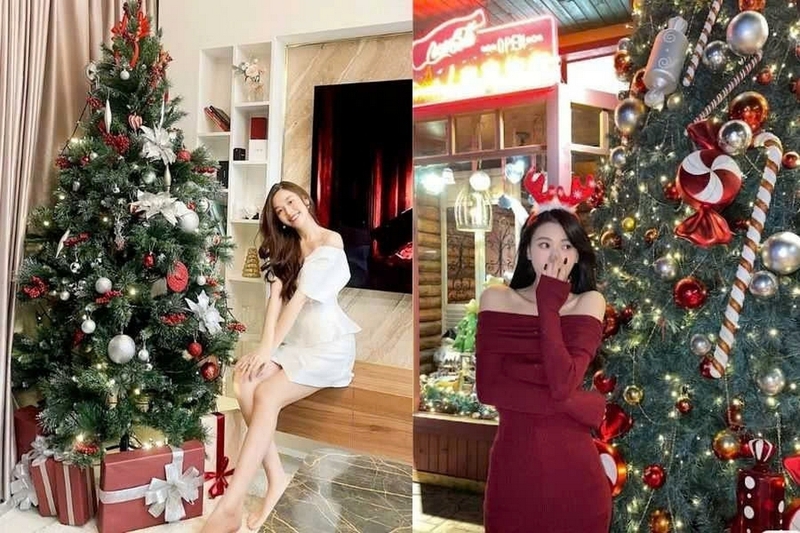 Chụp ảnh với cây thông noel ảnh 3