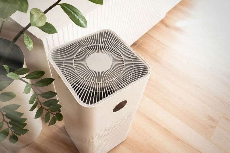 Có nên mua máy lọc không khí kèm hút ẩm ảnh 1
