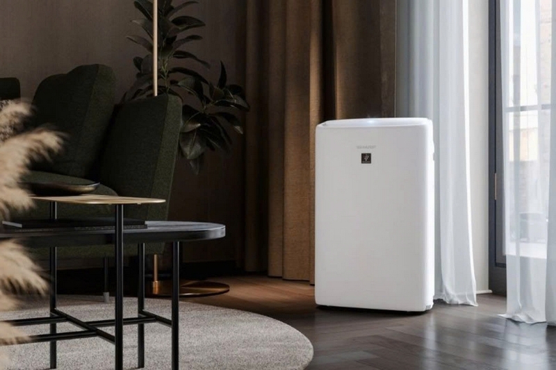 Có nên mua máy lọc không khí kèm hút ẩm ảnh 3