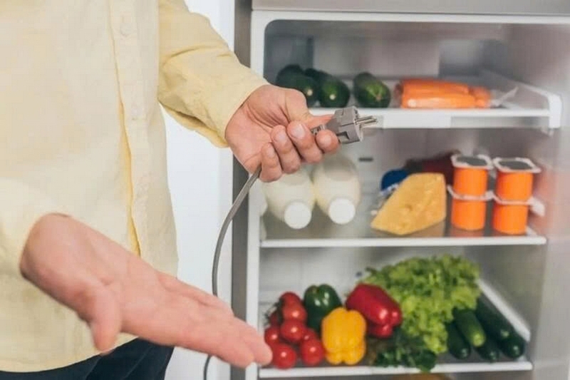 Có nên rút điện tủ lạnh khi đi du lịch dài ngày ảnh 2