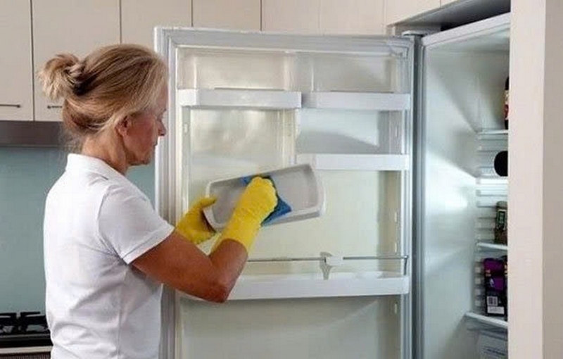 Có nên rút điện tủ lạnh khi đi du lịch dài ngày ảnh 4