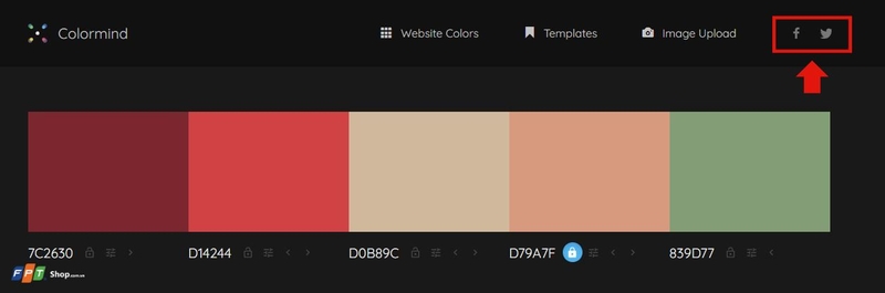 Colormind (ảnh 10)