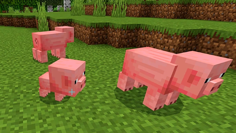 Con heo Minecraft hình 4.png