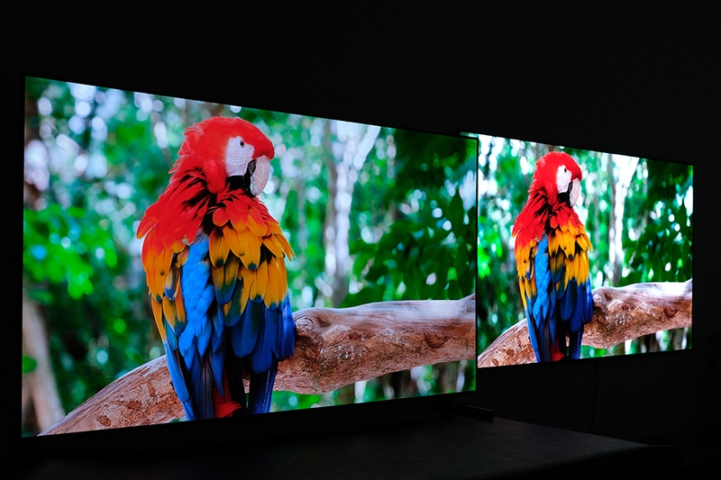 Sự khác biệt giữa OLED evo và OLED truyền thống