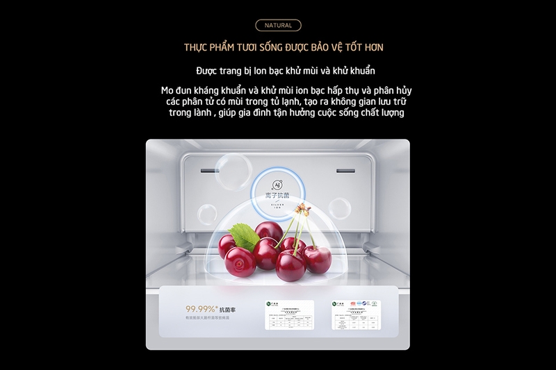 Công nghệ khử trùng bằng Ion cao cấp – An toàn cho sức khỏe