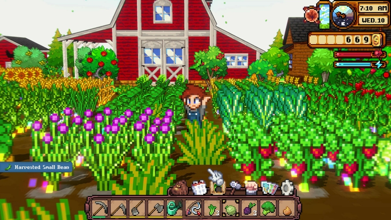 Cornucopia1
