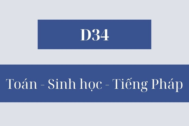 Khối D34 gồm những môn nào? Ngành nào?