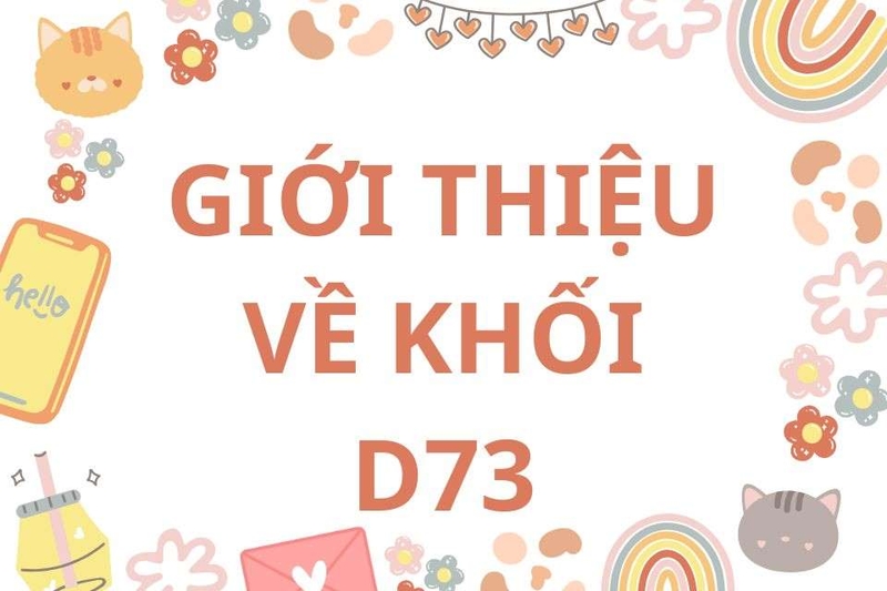 D73 gồm những môn nào, ngành nào?