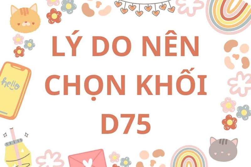 Khối D75 giúp bạn rèn luyện tư duy logic