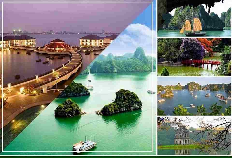 Ngành Việt Nam học, Văn hóa học