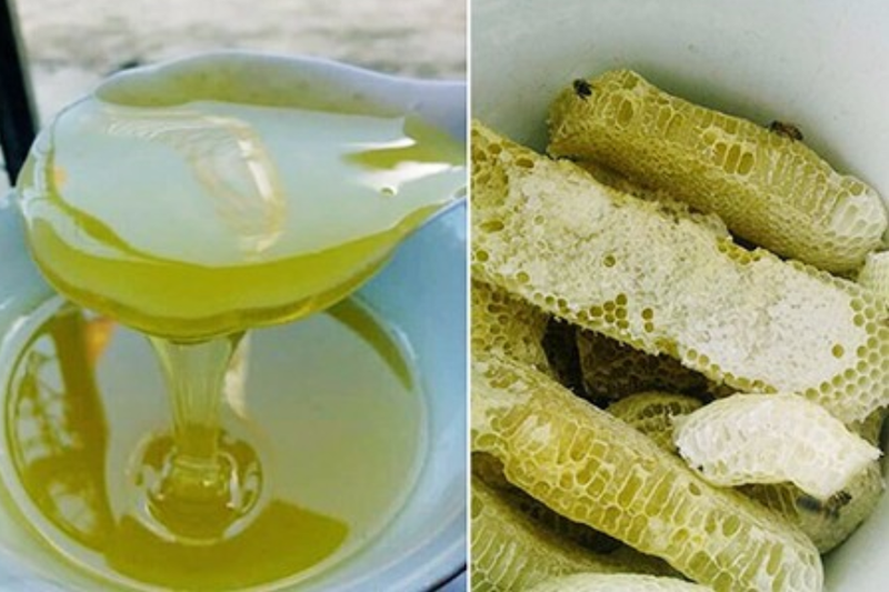 Đặc điểm của mật ong bạc hà