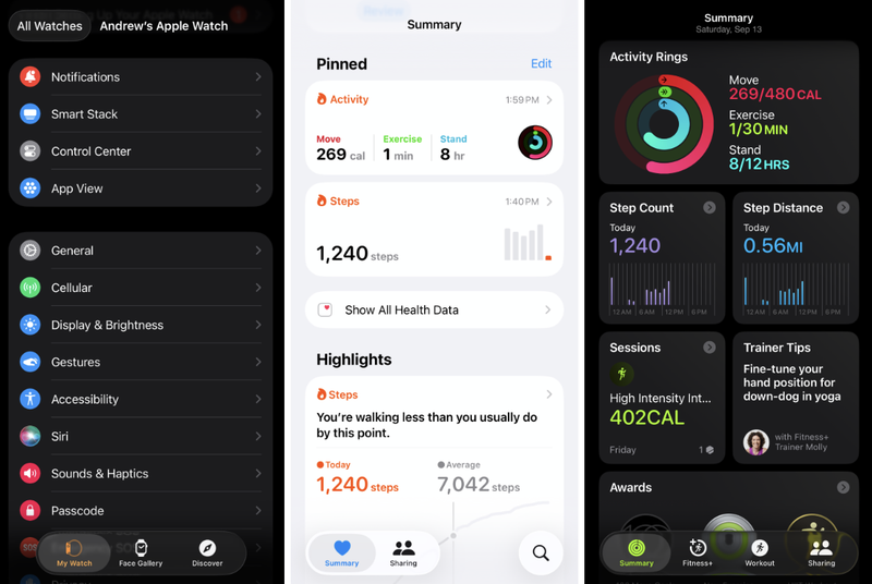 Đánh giá Apple Watch Series 11 4.png
