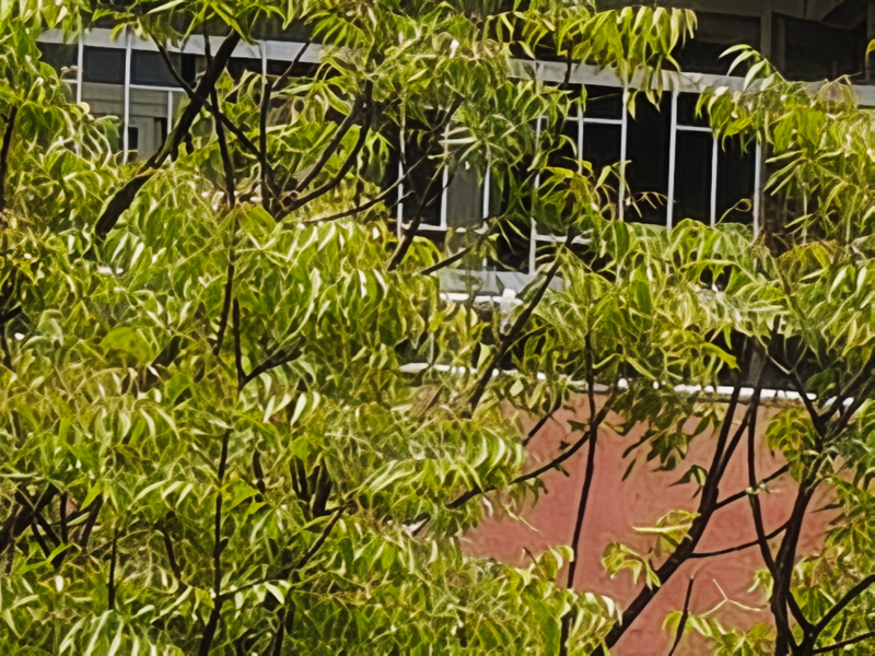 Đánh giá Motorola Edge 70 Pro+ telephoto.png