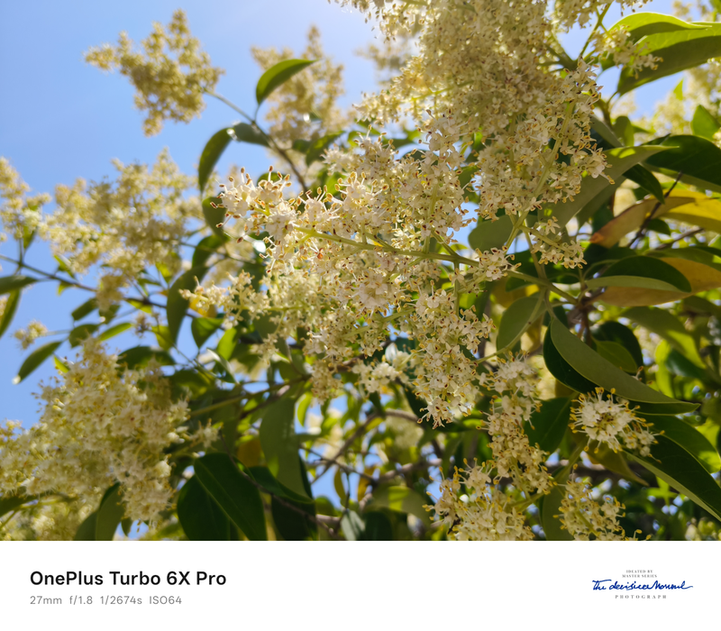 Đánh giá OnePlus Turbo 6x Pro 8.png
