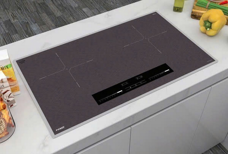 Đánh giá bếp từ Fandi ảnh 5