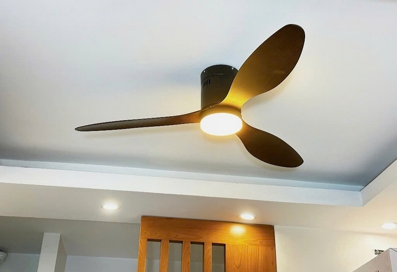 Đánh giá quạt Daikisu ảnh 2